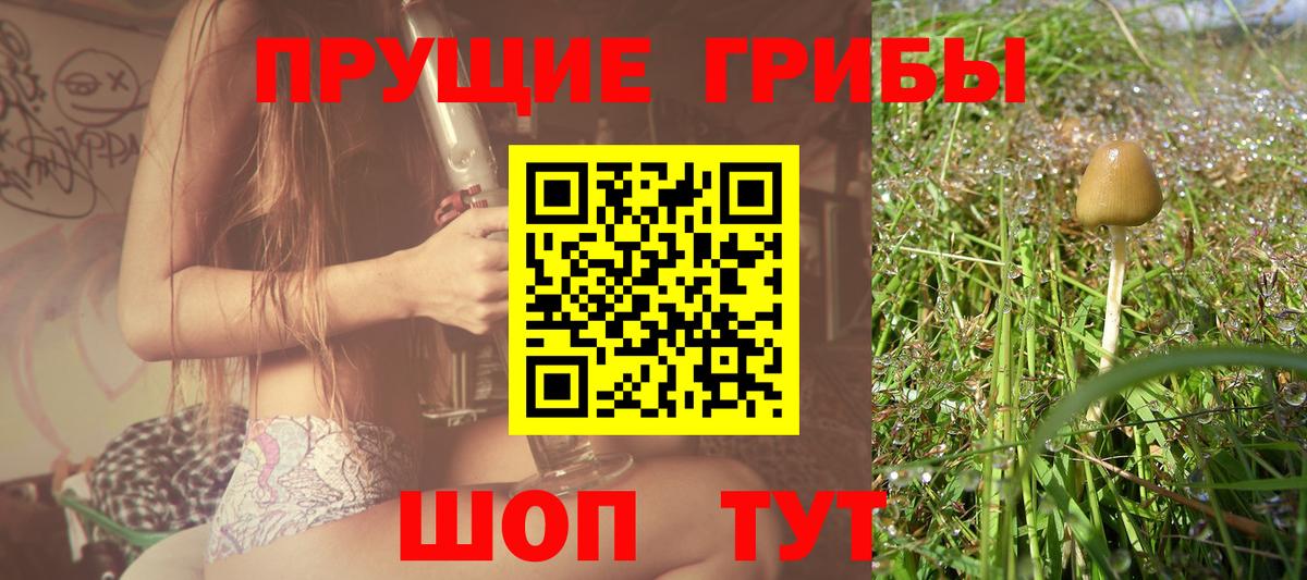 Галлюциногенные грибы GOLDEN TEACHER  Вход с VPN  Новокуйбышевск 